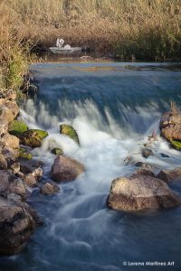 "Paseo en barca" (2017), fotomontaje digital, 30x20cm, Lorena Martínez