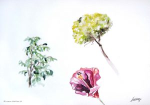 "Miscelánea 3", acuarela sobre papel. Lorena Martínez