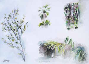 "Miscelánea 2", acuarela sobre papel. Lorena Martínez