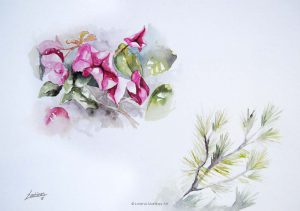 "Buganvilla y pino", acuarela sobre papel. Lorena Martínez