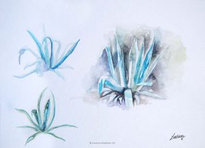 "Piteras", acuarela sobre papel. Lorena Martínez