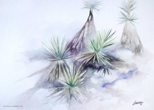 "Yucas", acuarela sobre papel. Lorena Martínez