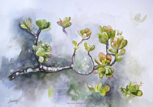 "Crasa", acuarela sobre papel. Lorena Martínez