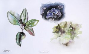 "Miscelanea", acuarela sobre papel. Lorena Martínez