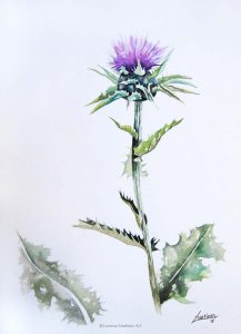 "Cardo mariano", acuarela sobre papel. Lorena Martínez