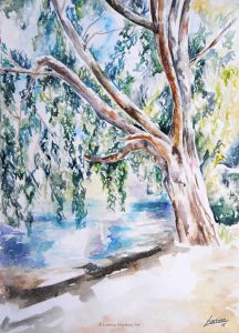 "Sauce", acuarela sobre papel. Lorena Martínez