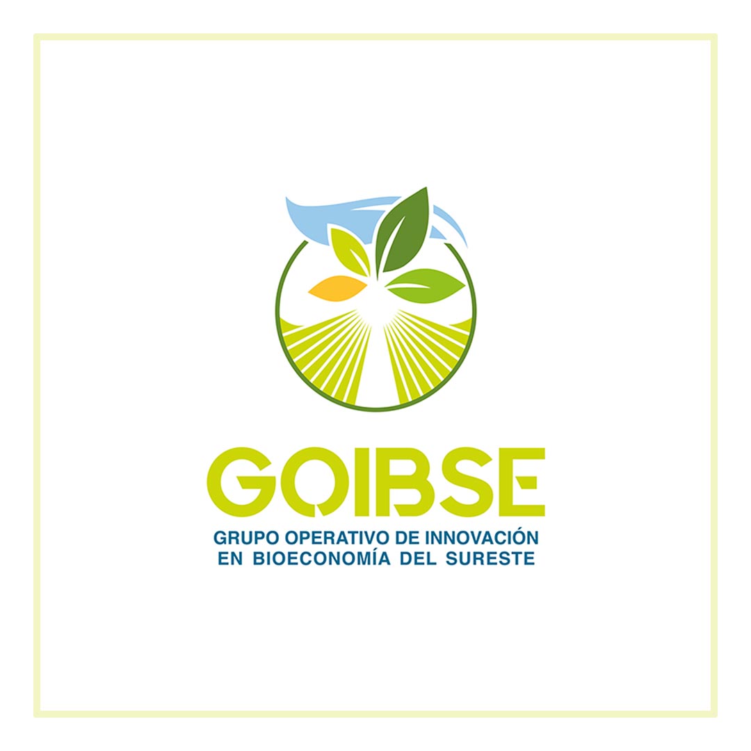 GOIBSE - Diseño de imagotipo