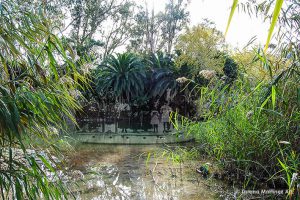 "Guillermina" (2014), fotomontaje digital, 20x30cm, Lorena Martínez