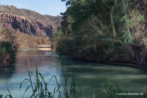"Silenciosa espera" (2017), fotomontaje digital, 20x30cm, Lorena Martínez