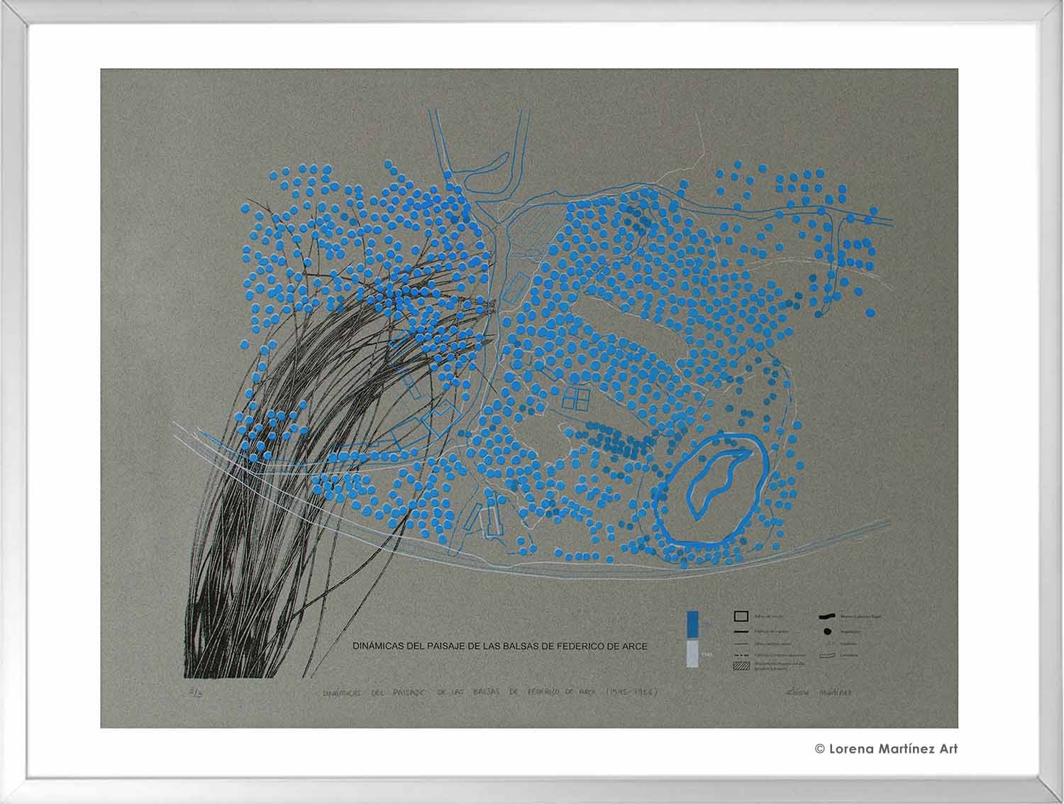 Dinámicas del paisaje de las balsas de Federico de Arce (1945-1956). Litografía Offset sobre papel. 70x80 cm