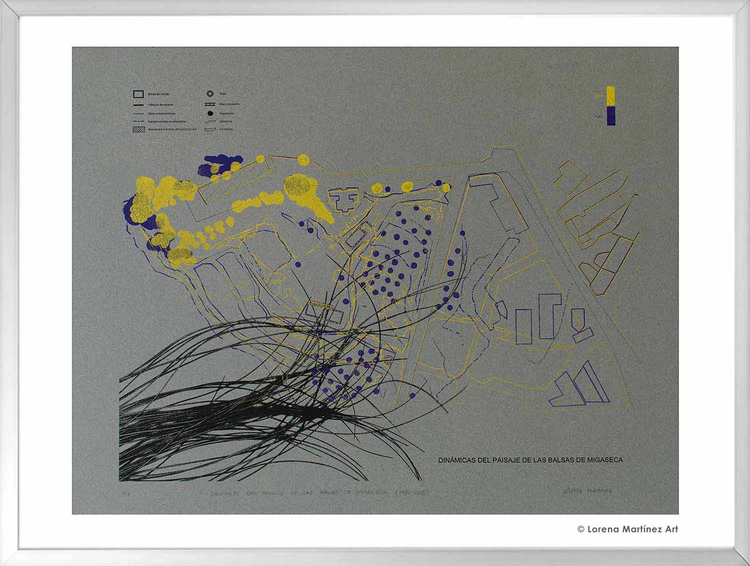 Dinámicas del paisaje de las balsas de Migaseca (1981-2015). Litografía Offset sobre papel. 70x80 cm